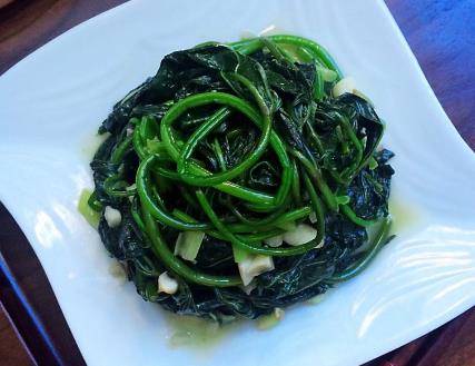 人可以吃食叶草吗 2fde0b700bb7410ab8a77d4978c8cd5e.jpeg
