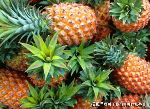 d0537d01a0514a6a8466038cf6da9373.png