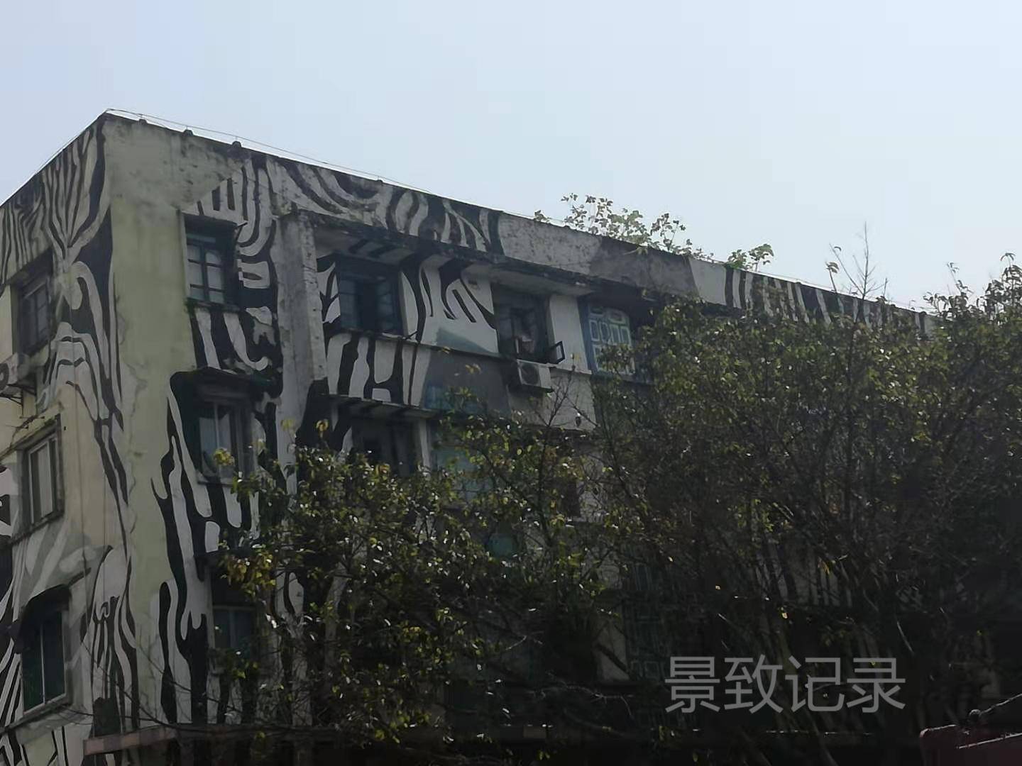 景致记录：涂鸦一条街，李焕英时代的老旧居民楼，披上艺术的新衣