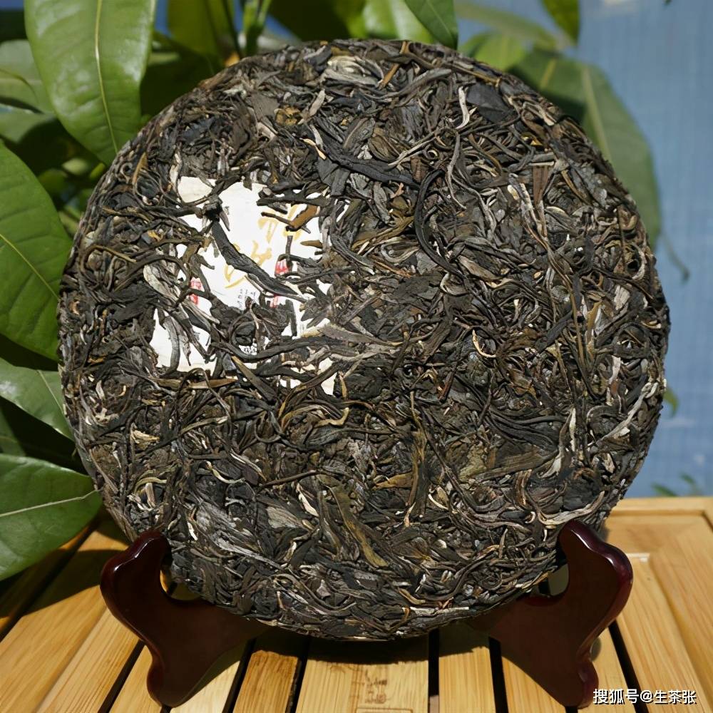 都说单株古树普洱茶可遇不可求为啥这么贵还受许多茶客喜欢