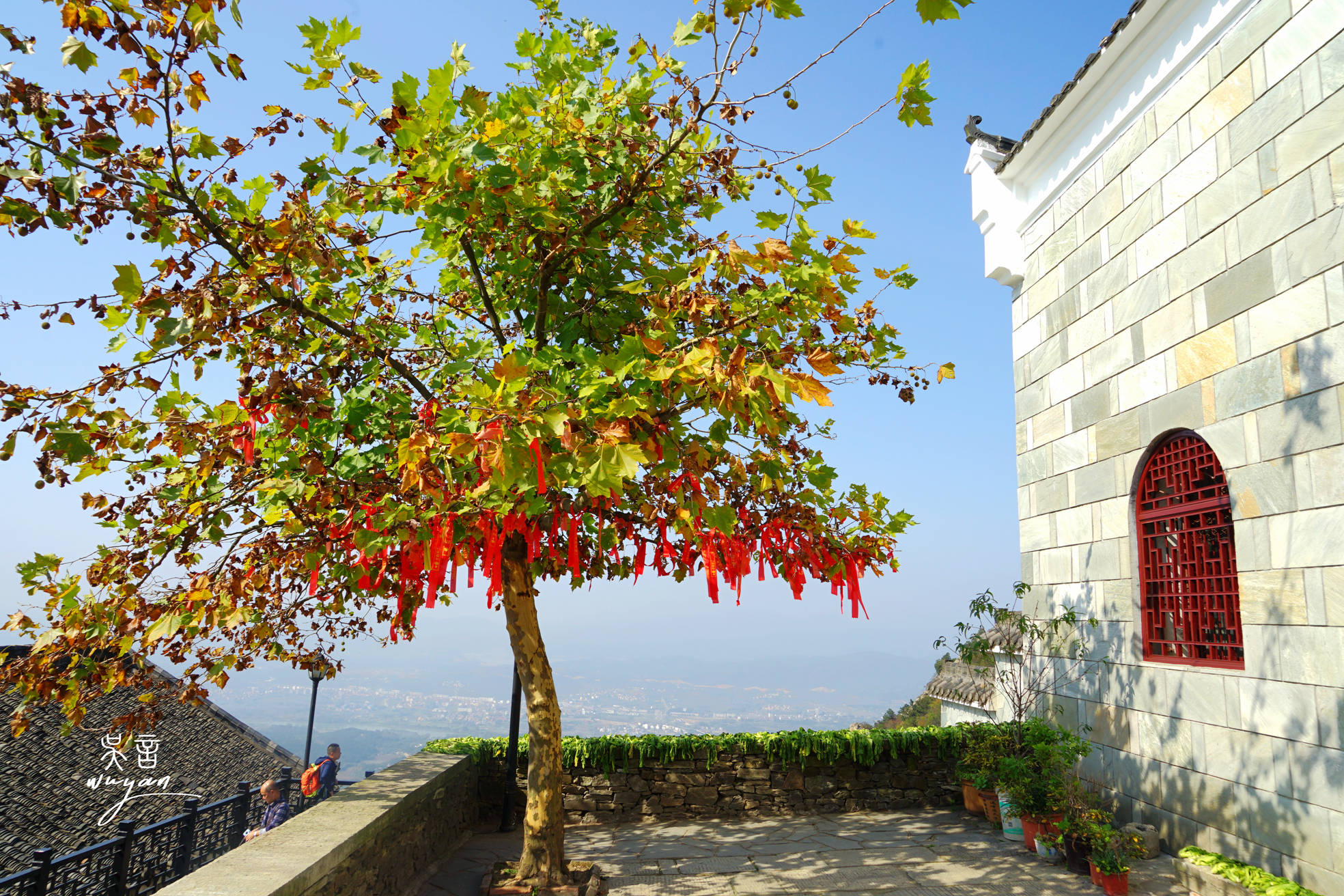 盘点武汉黄陂踏青赏花祈福网红景点,花花世界,心花怒放_吴言