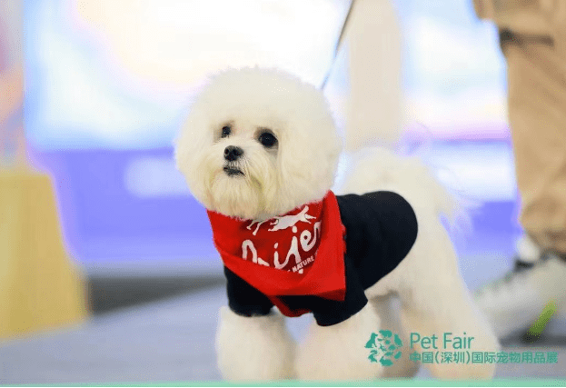 宠业年度盛会圆满落幕瑞派宠物医院惊艳全场