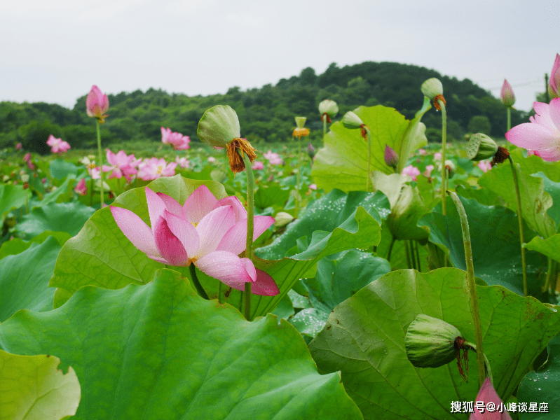 4月28日开始得贵人青睐 好运气不停歇 天天数钱忙的四大生肖 人生