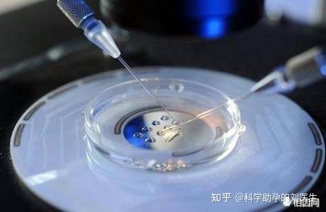 什么时间适合做试管 f7d3eeccbeb644ba88cb5ad073b2e0bd.jpeg