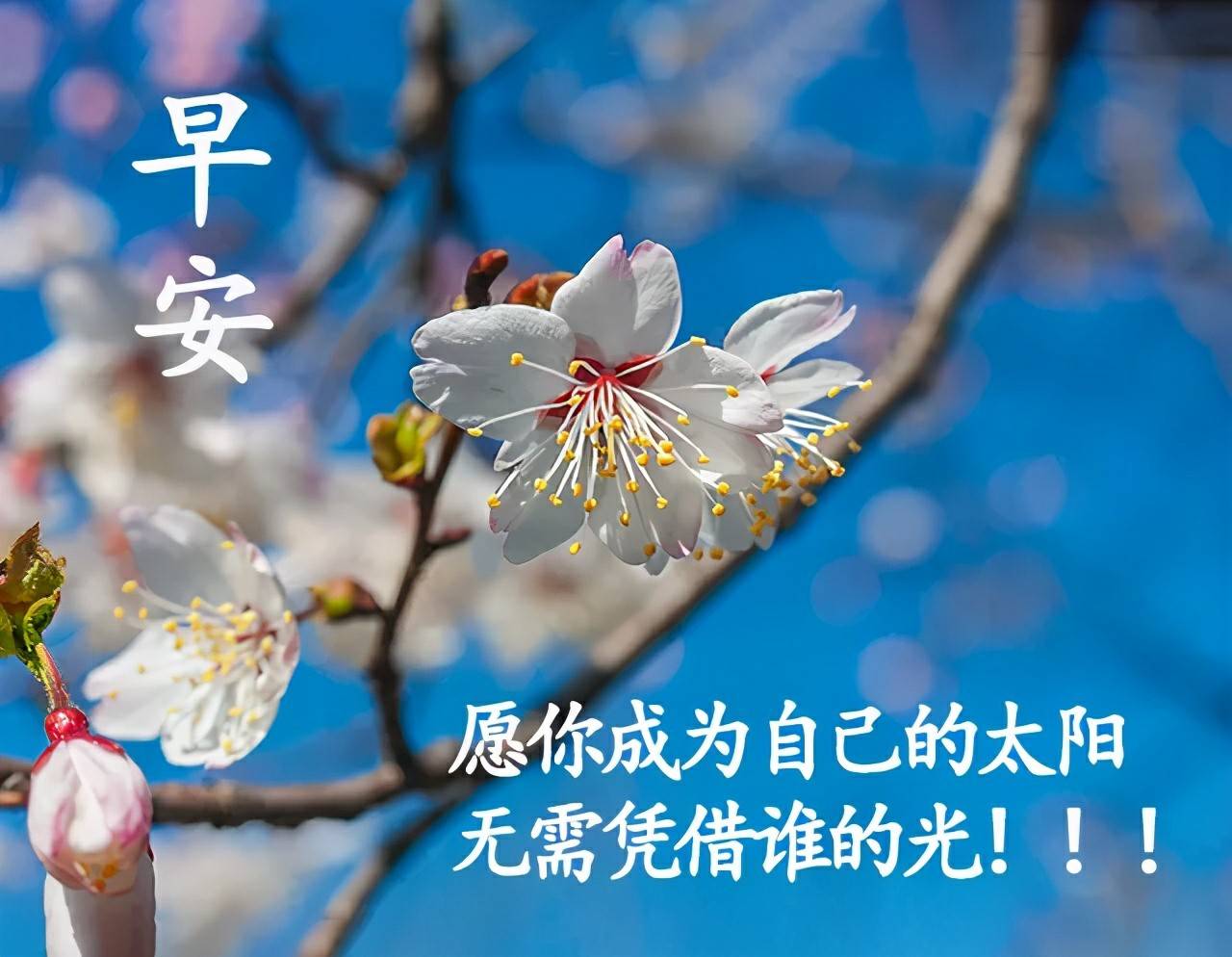 欲成其大,首须志远.不为琐事所羁,不为蝇利所惑,晚安,早安祝福语