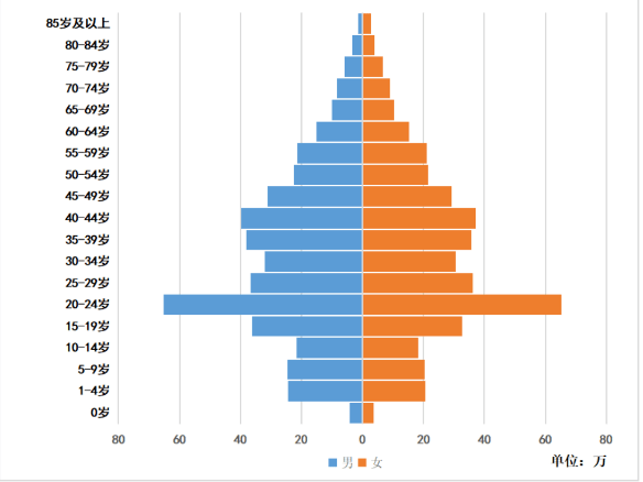 人口年龄分布_未富先老 人口老龄化已是经济增长的最大负担(3)