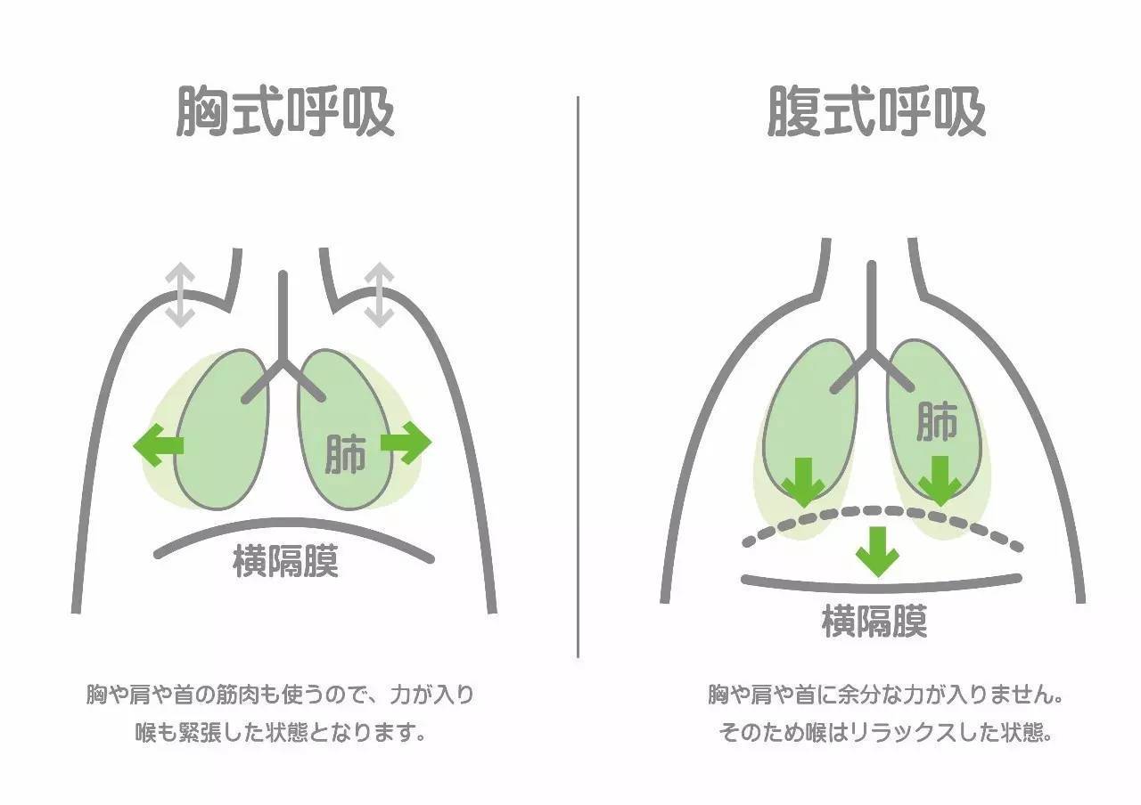 最短最浅的一种呼吸法吸气时胸部紧张,整个身体的状态是往上提的