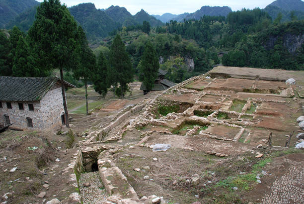 朵蘭木地板_富林地板天料木_吉象地板尊木