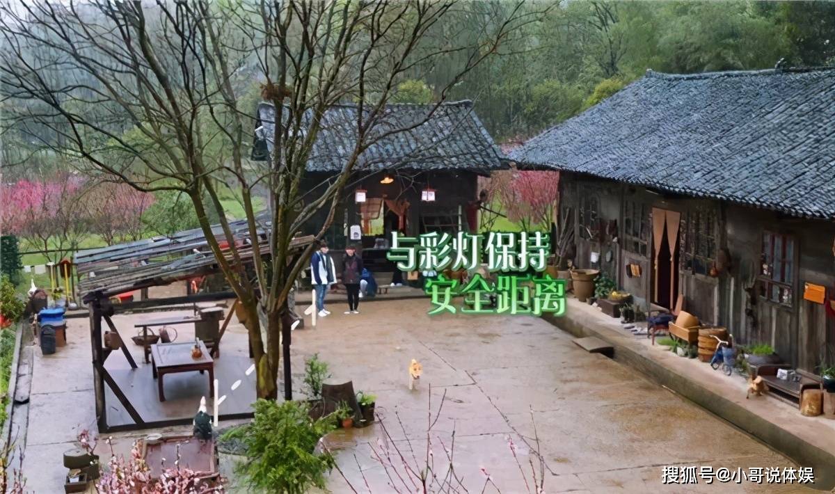 向往的生活5开播张艺兴被彩灯吓出表情包想靠近却又害怕
