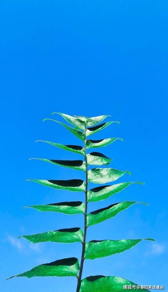 原创阳光向上的精致短句充满积极的正能量发朋友圈很棒