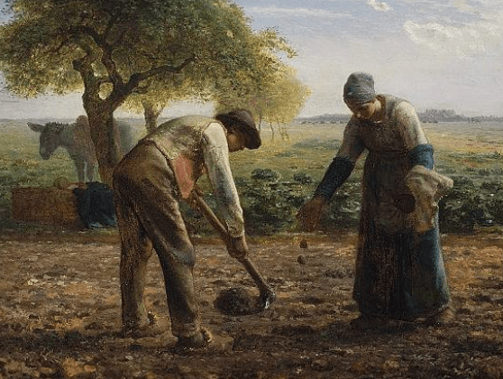 法国农民发起的扎克雷起义,对法国的历史发展产生了怎样的影响?_法王