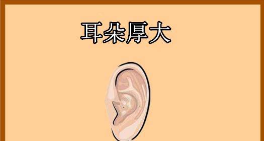 操心命是一个什么样的命 操心命怎么治