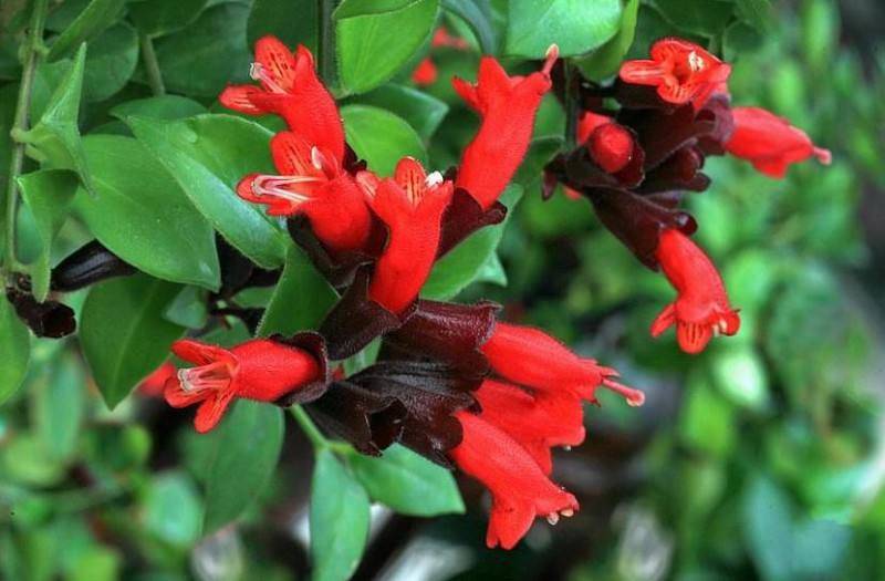 3dbbb74089dd44a48a26cac171bd897f.jpeg