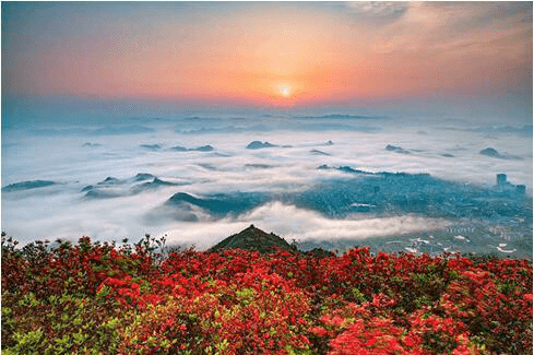 别辜负这人间仙境丹寨龙泉山漫山遍野都是杜鹃花