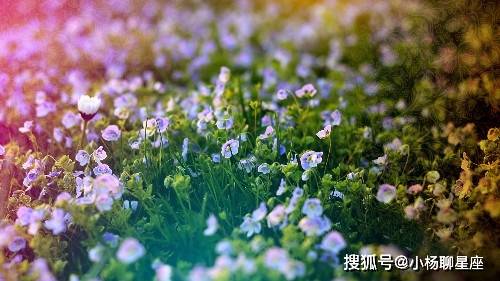 6月13日开始 运势转高 横财多如牛毛 有钱花有福享的3生肖 生活