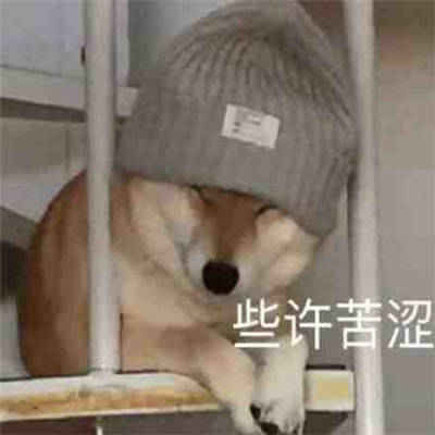 请允许我做一个悲伤的表情包