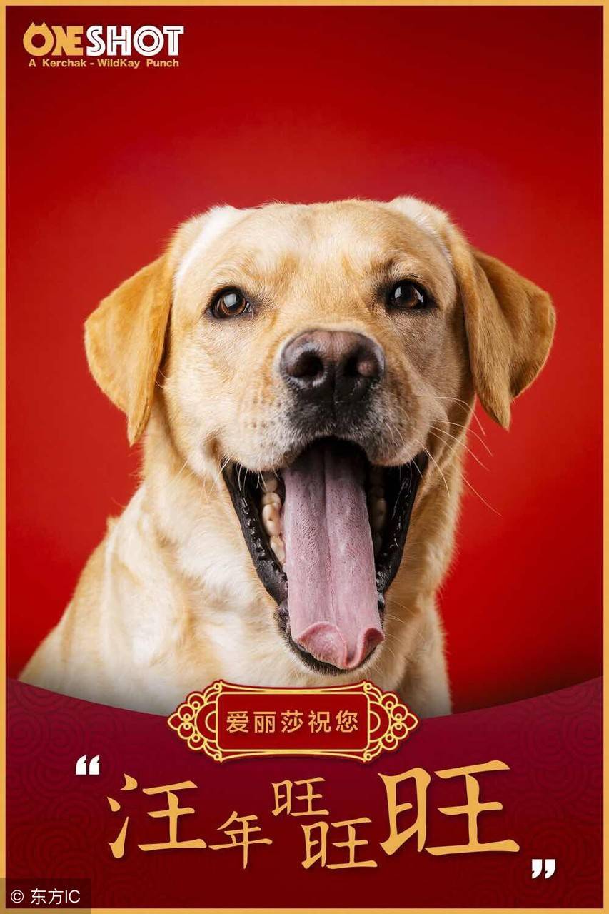 狗的阴历茎上有倒刺 狗狗的倒刺结构示意图