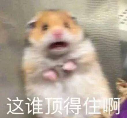 0219aae9723e44f0975ed9e800d755b2.jpeg