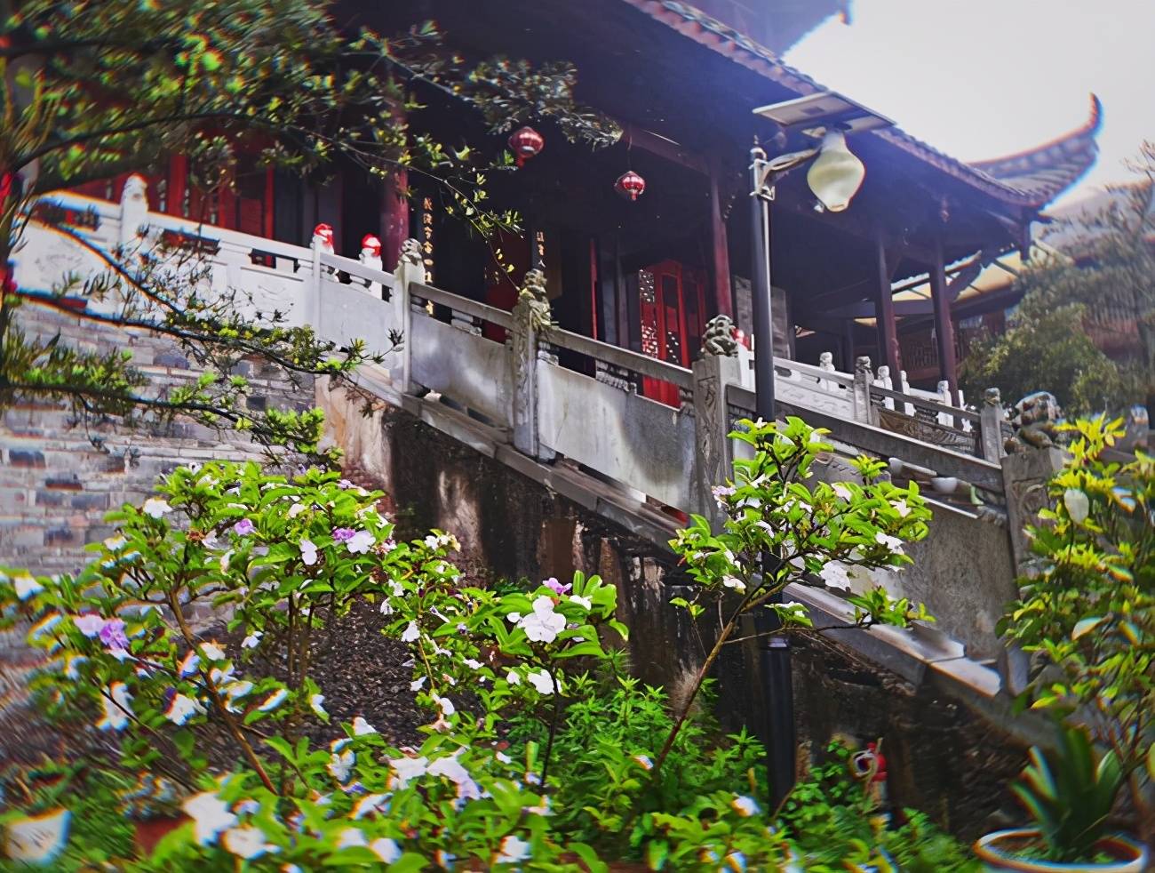 合江县凤鸣镇:凤鸣老街中的佛教圣地—凤凰寺