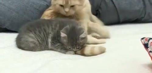 b655aadd7f5d482999b5262a00629bca.jpeg