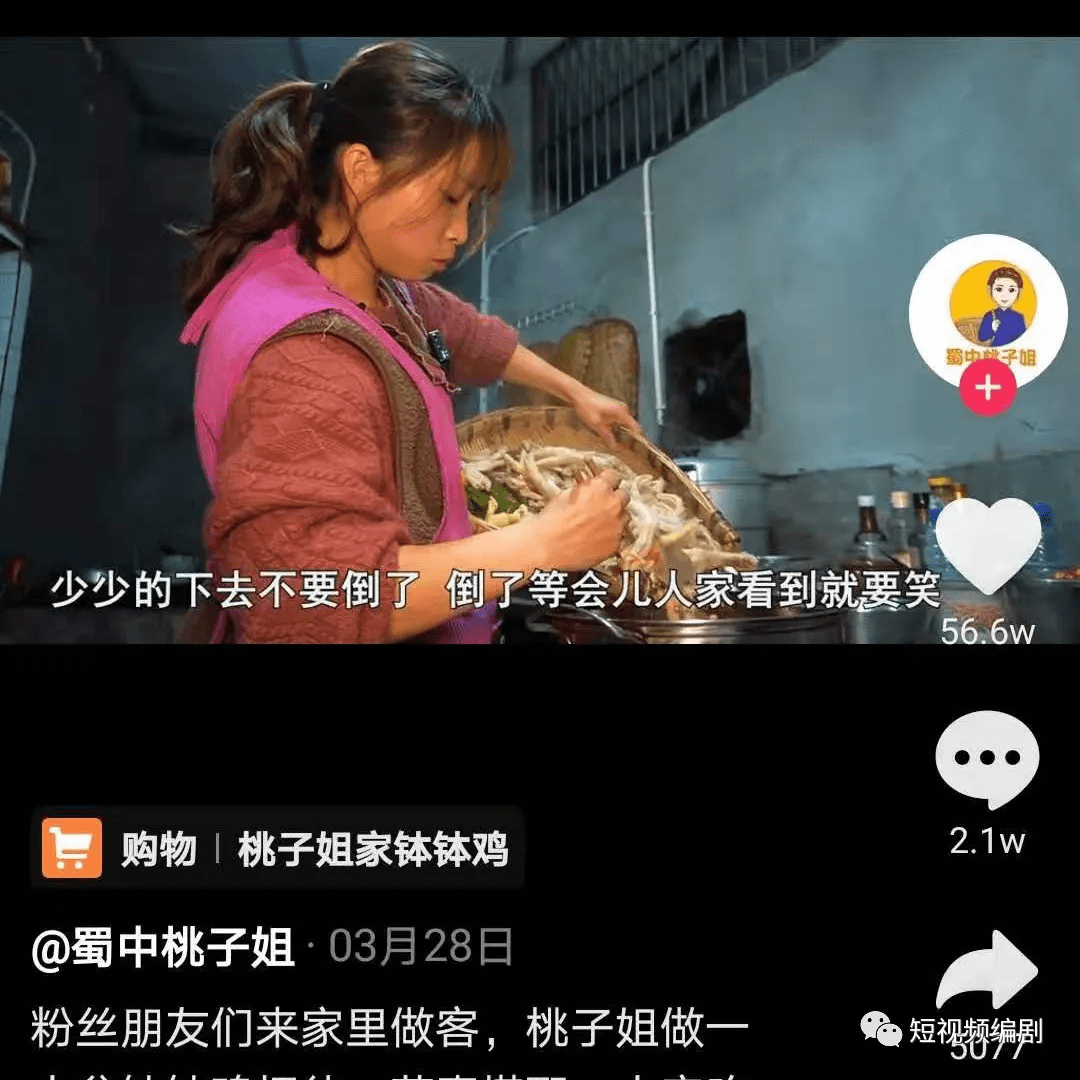 短視頻劇本美食號圈粉2200w蜀中桃子姐如何玩劇情1