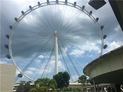 高薪职业排行榜_新加坡排名前五的高薪职业竟来自这些行业~