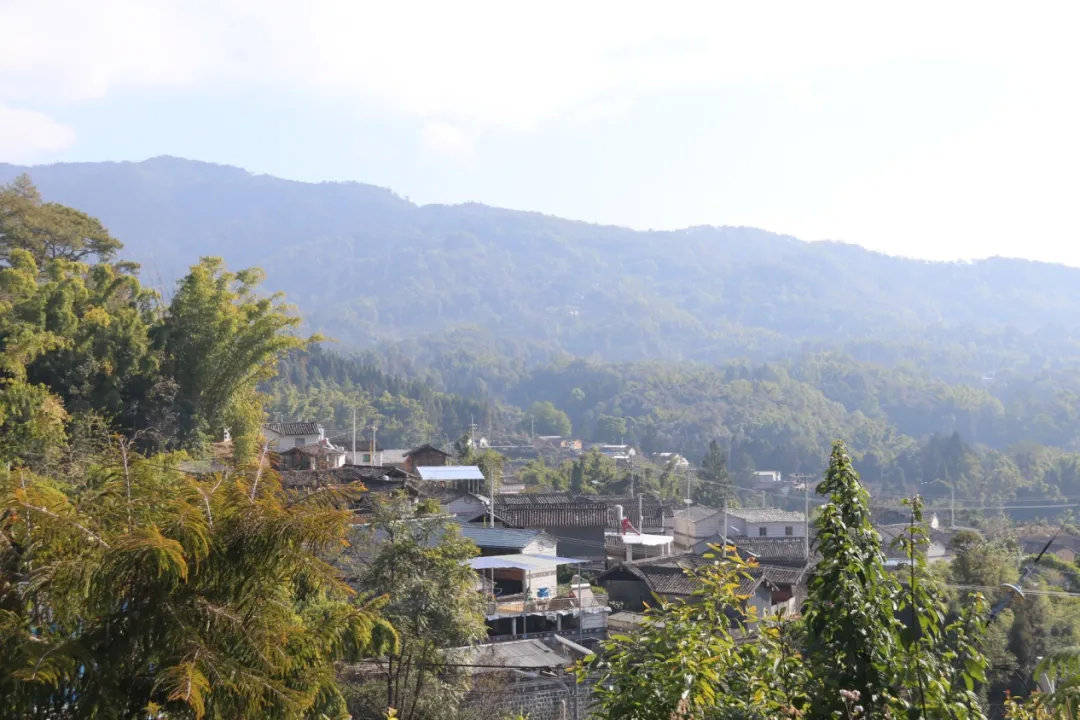 新华乡扎实开展爱国卫生7个专项行动