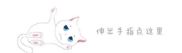 什么|狸花猫在书架上做了个窝，主人回家看到猫咪的新窝后，气到发抖