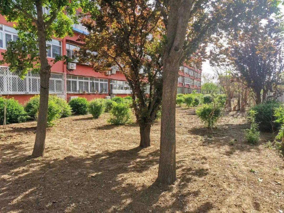 持续发力顺义区北小营镇春季环境整治见成效