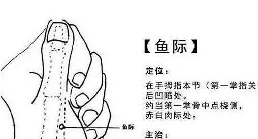 1891876fa4b34a448f8e66c7440a1983.jpeg