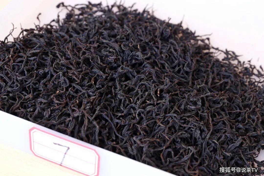 茶叶|培养工匠、赋能茶企，且看寿宁这场制茶能手赛！