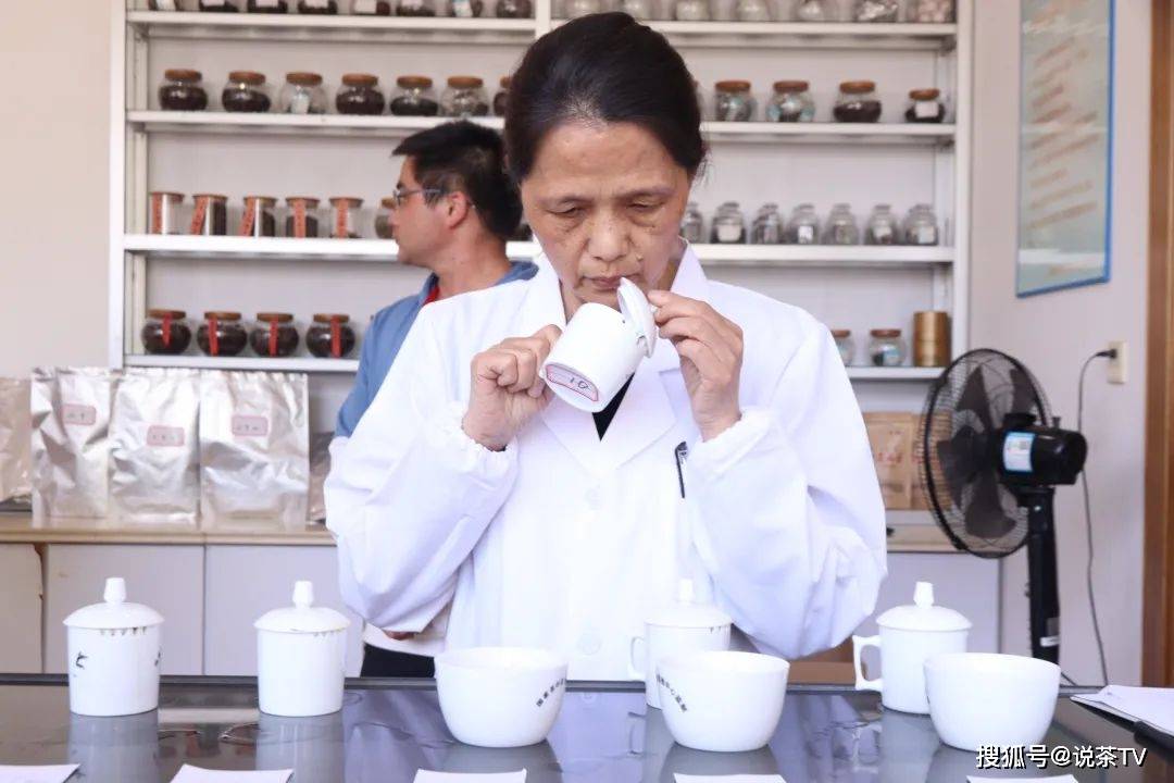 茶叶|培养工匠、赋能茶企,且看寿宁这场制茶能手赛!