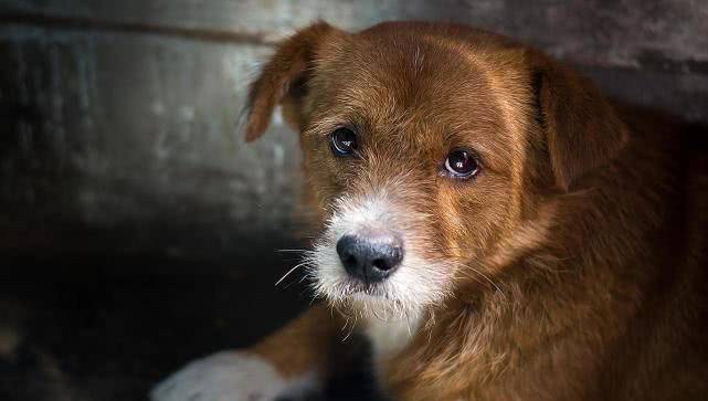 7bdb6985e6bd4dfd9fdf636a3518daf1.jpeg