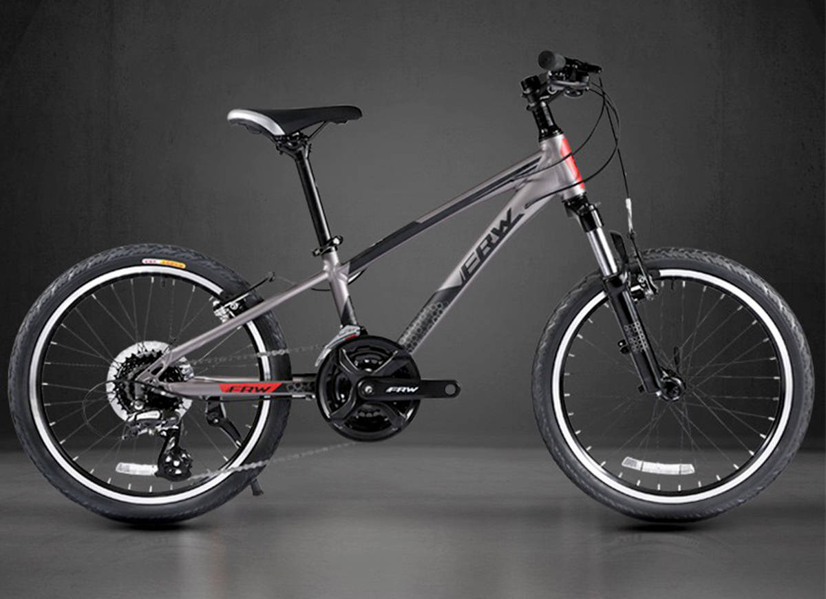 儿童品牌排行_2021最好儿童自行车国外品牌中国十大小学生自行车品牌排
