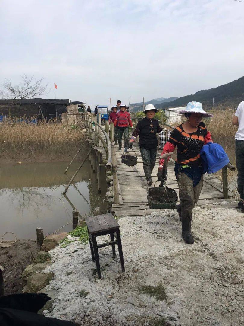 原创
【海错图爱情笔记】莫扎特跟蛏子一样,有恋污癖?!
蛏