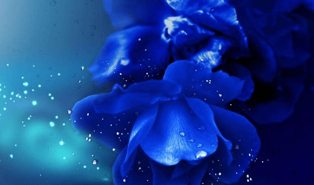 5ec4953c50cf4a5d832bdce33843e8a7.png
