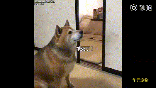 925ceabd4bbe42d493e27cd823137e17.gif