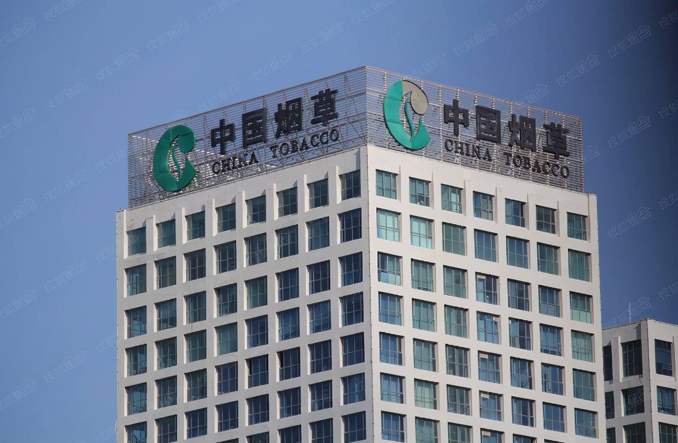 原创中国烟草大量招人年薪可高达6位数3类考生可优先录取