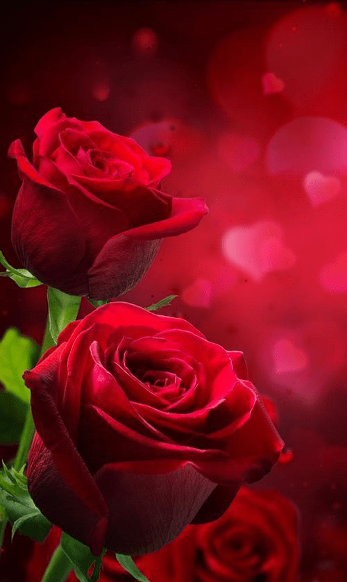 00e6d65dc93b460e9fa88b7a5404e249.png