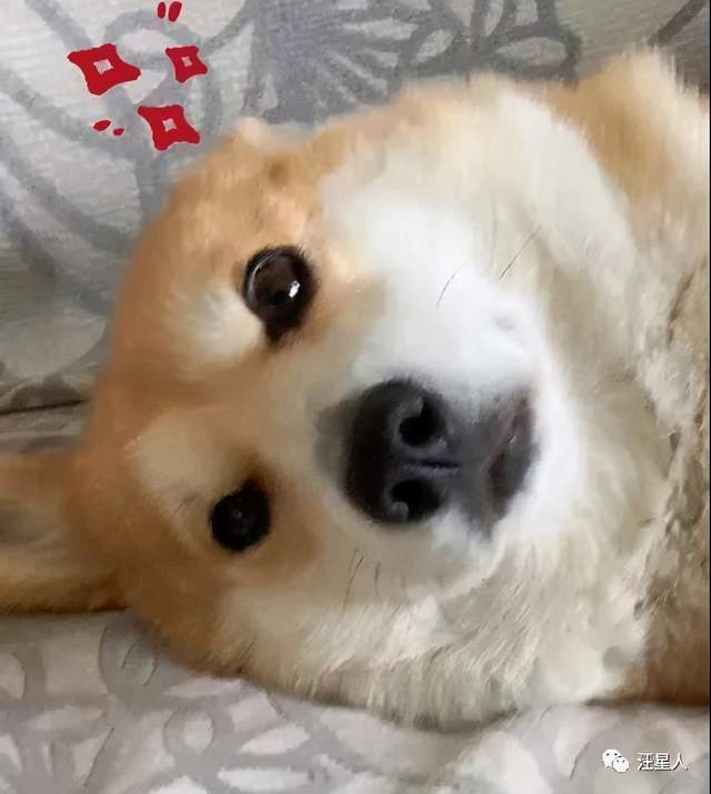 3054c54ac4e04b9bb7cfe026715e9178.jpeg