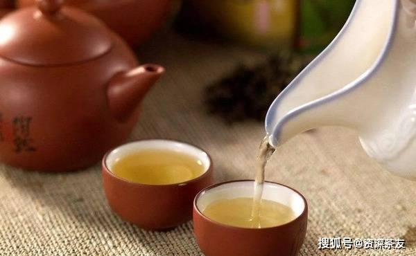 白茶品牌排行_政和白茶品牌价值50.34亿元,荣登百强榜单!