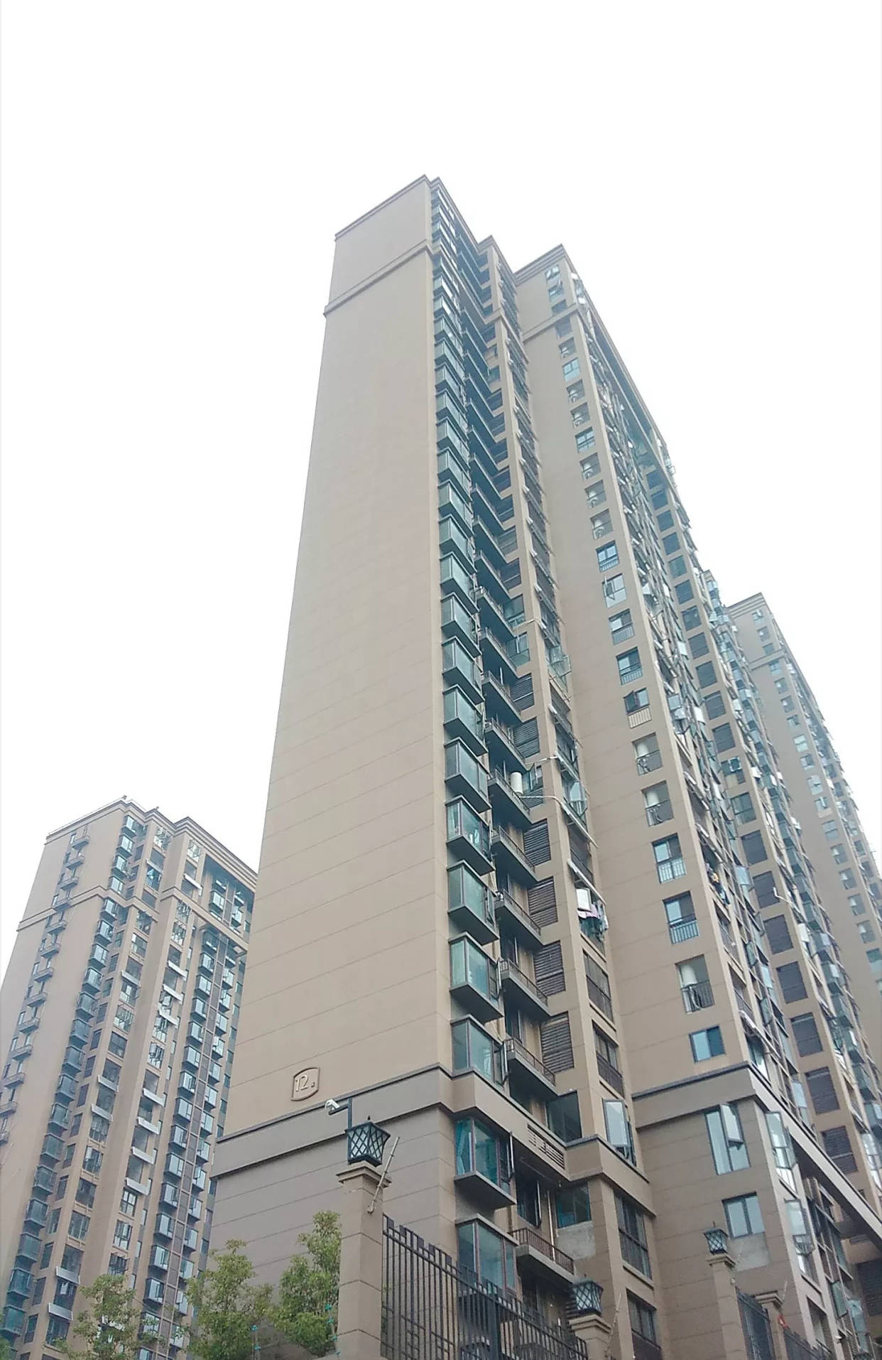 原创当初不顾全家反对买33层顶楼现在有仙境又没噪音入住后真舒服