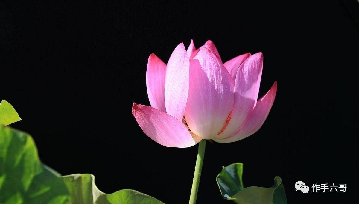 格雷格 阿贝尔成了股神巴菲特接班人 巴菲特投资名言大全 企业 格雷格 阿贝尔成了股神巴菲特接班人 巴菲特投资名言大全 企业