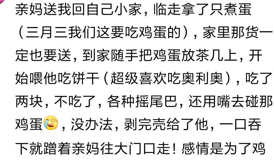 智商不高是什么命理 智商不高的人命里藏着什么天机？老祖宗三句话点破玄机