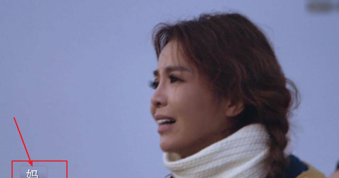 原创你好生活撒贝宁提议天台少年后被朱迅的喊话惹哭了