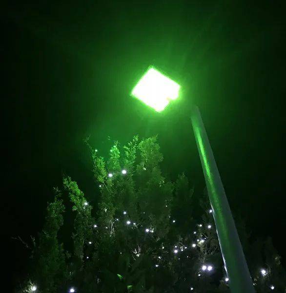 梦解迷思，教室里烟花之殇——探寻内心深处的警示与释放