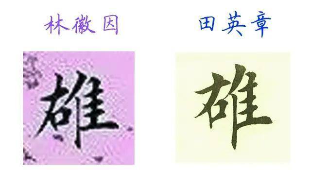 1724dc6f50c74cd185b9a7d2e282b6bc.jpeg