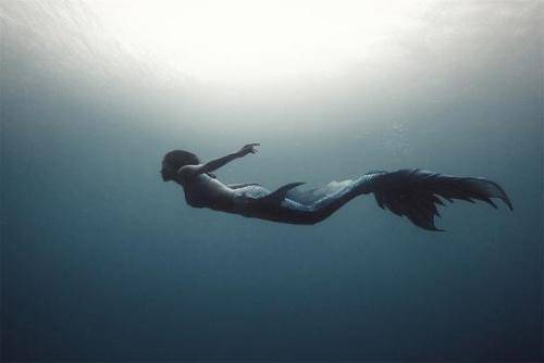 不过不知大家发现没有,在西方的很多故事当中,所谈及到的"美人鱼"