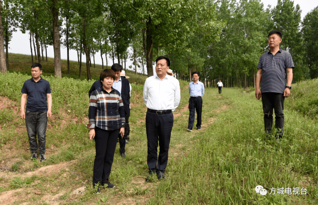 方城县委书记段文汉督导环保攻坚全域治理工作
