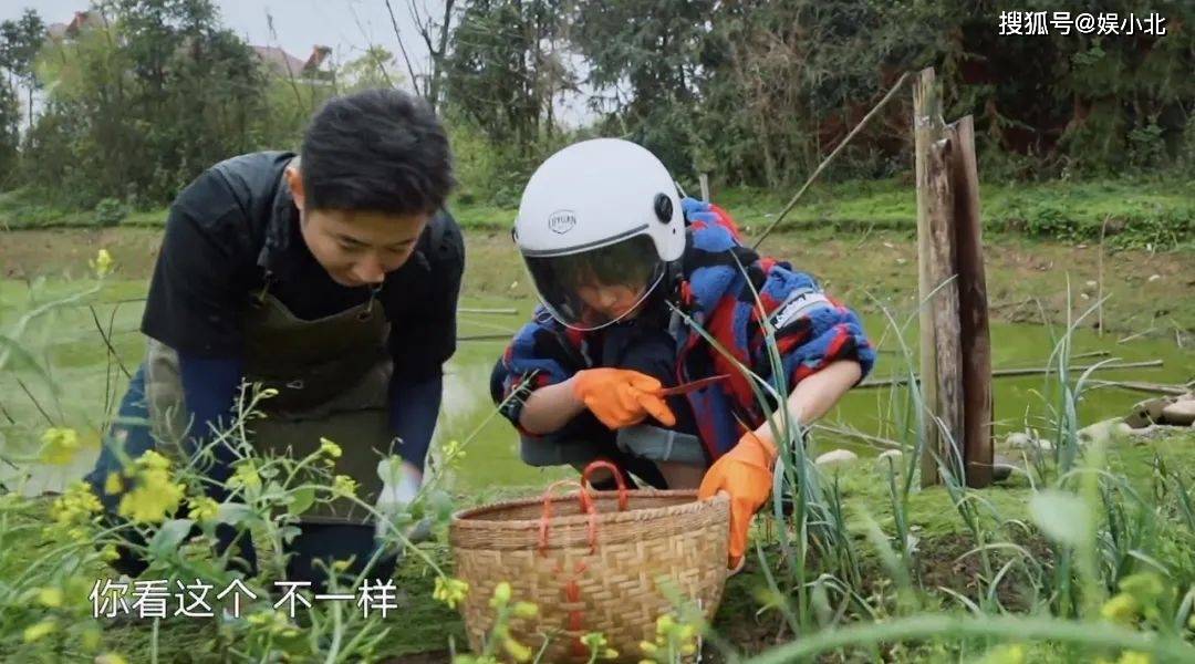 原创谁能想到在向往5中如此热爱生活的刘晓邑曾想过自杀